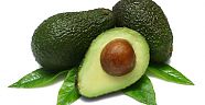 AVOKADO MUCİZESİ SAĞLIK VERİYOR