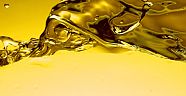 SUUDİLERİN PETROLE BAĞIMLILIĞI BİTİYOR