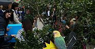 W SECRET GARDEN HAVAİANAS İLE YAZA MERHABA DEDİ